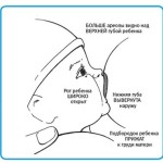 Как лечить трещины на сосках у кормящей мамы