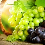 Можно ли есть виноград кормящей маме