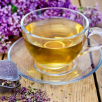 Душица при грудном вскармливании для увеличения лактации — рецепты для кормящей