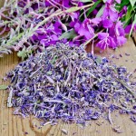 Иван-чай кормящим мамам: рецепт для улучшения лактации